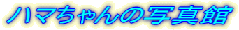 ハマちゃんの写真館